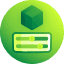 Software Developer